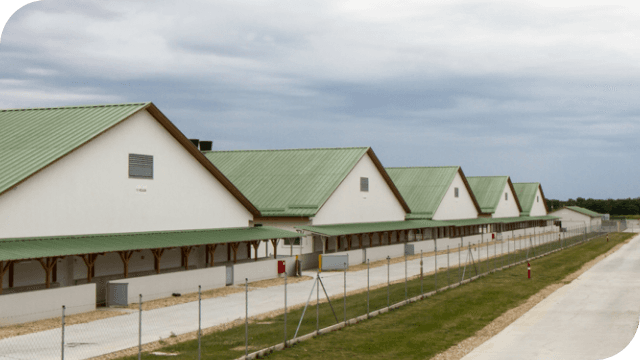 Bonafarm farm