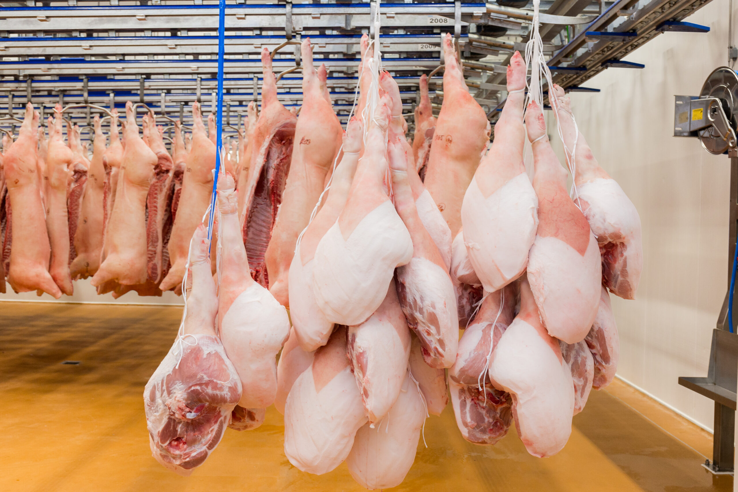 Egy sertéscomb útja a prosciutto vagy a serrano sonkáig